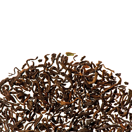 Yunnan Puer |  