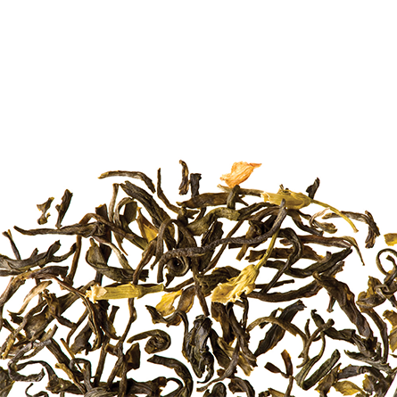 Silver Jasmine |  